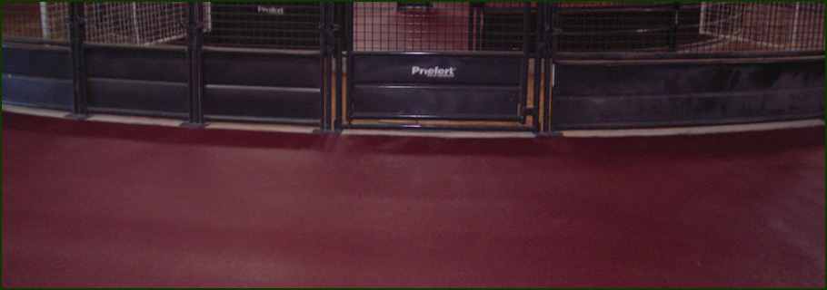 Equi-Turf - Permanent Seamless Rubber Surfaces