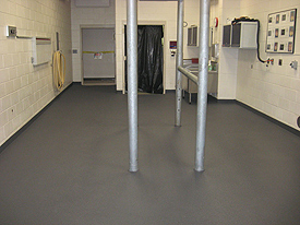 Veterinary Flooring and Animal Recovery Flooring
